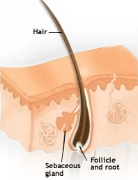 Traitement contre la chute de cheveux